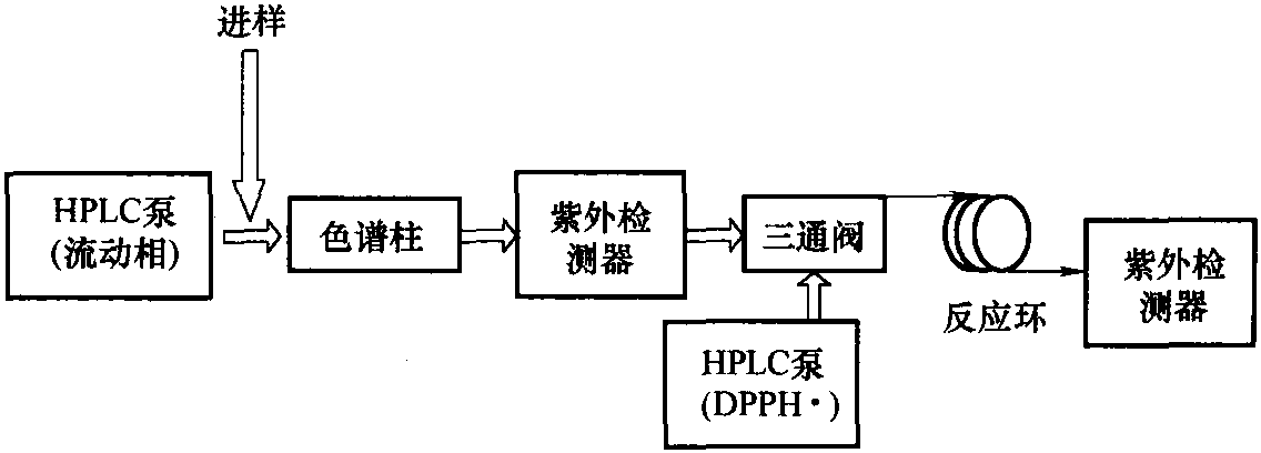 3.5.2 在线HPLC-DPPH·方法测定条件优化